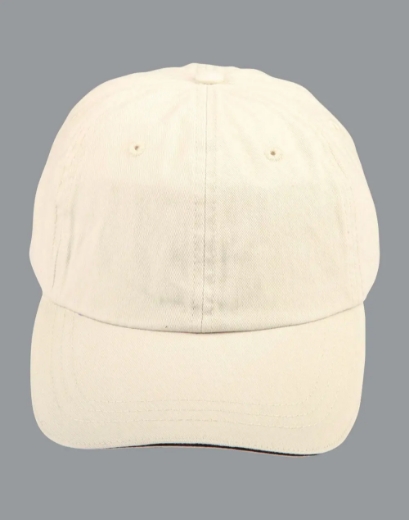 Picture of Winning Spirit, Washed polo sandwich cap